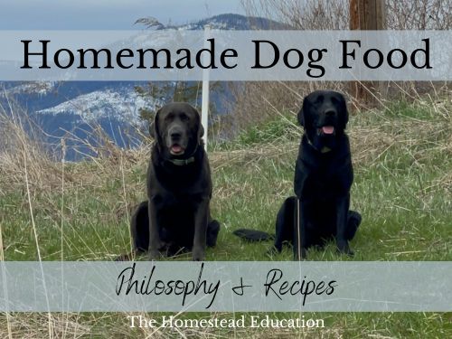 My Philosophy and Recipes for Homemade Dog Food The Homestead